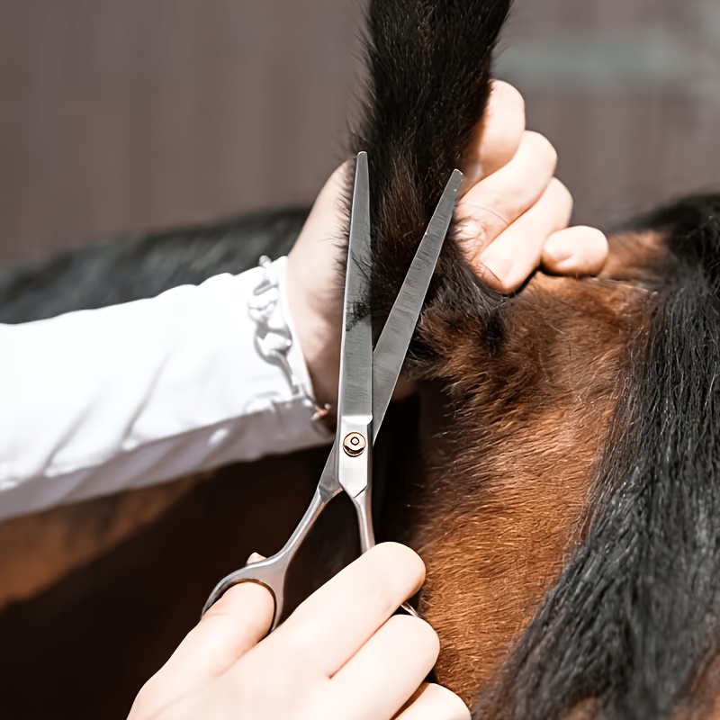 Grooming Kit Horse - Juego de Herramientas para el Cuidado