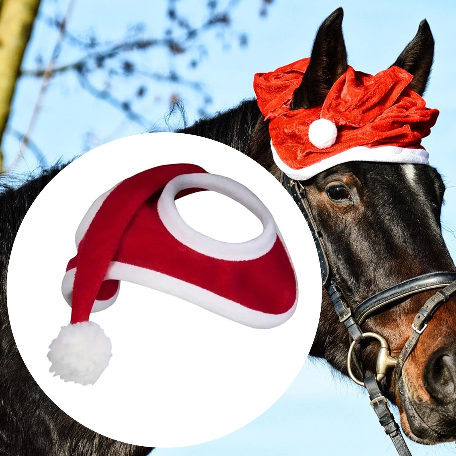Sombrero de caballo de Navidad - Grooming Kit Horse reseña y precio
