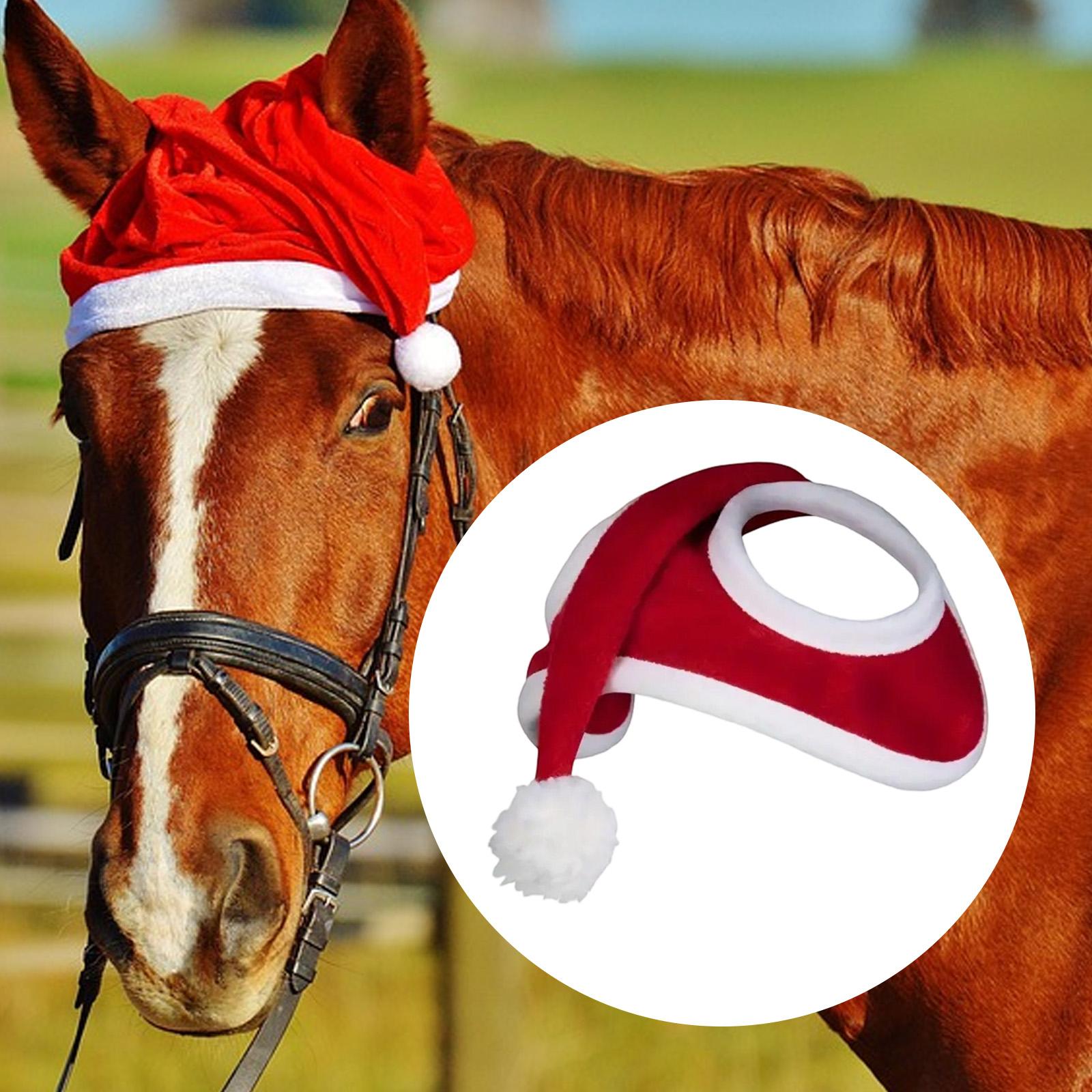 Sombrero de caballo de Navidad - Grooming Kit Horse reseña y precio