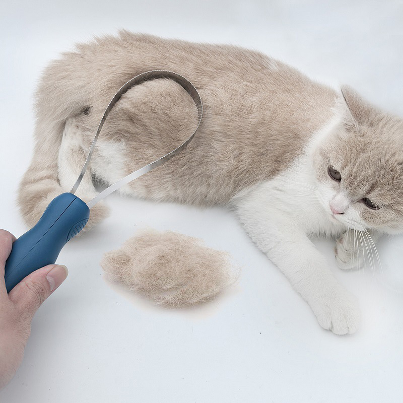 Raspador de Sudor Ajustable pa - Grooming Kit Horse reseña y precio