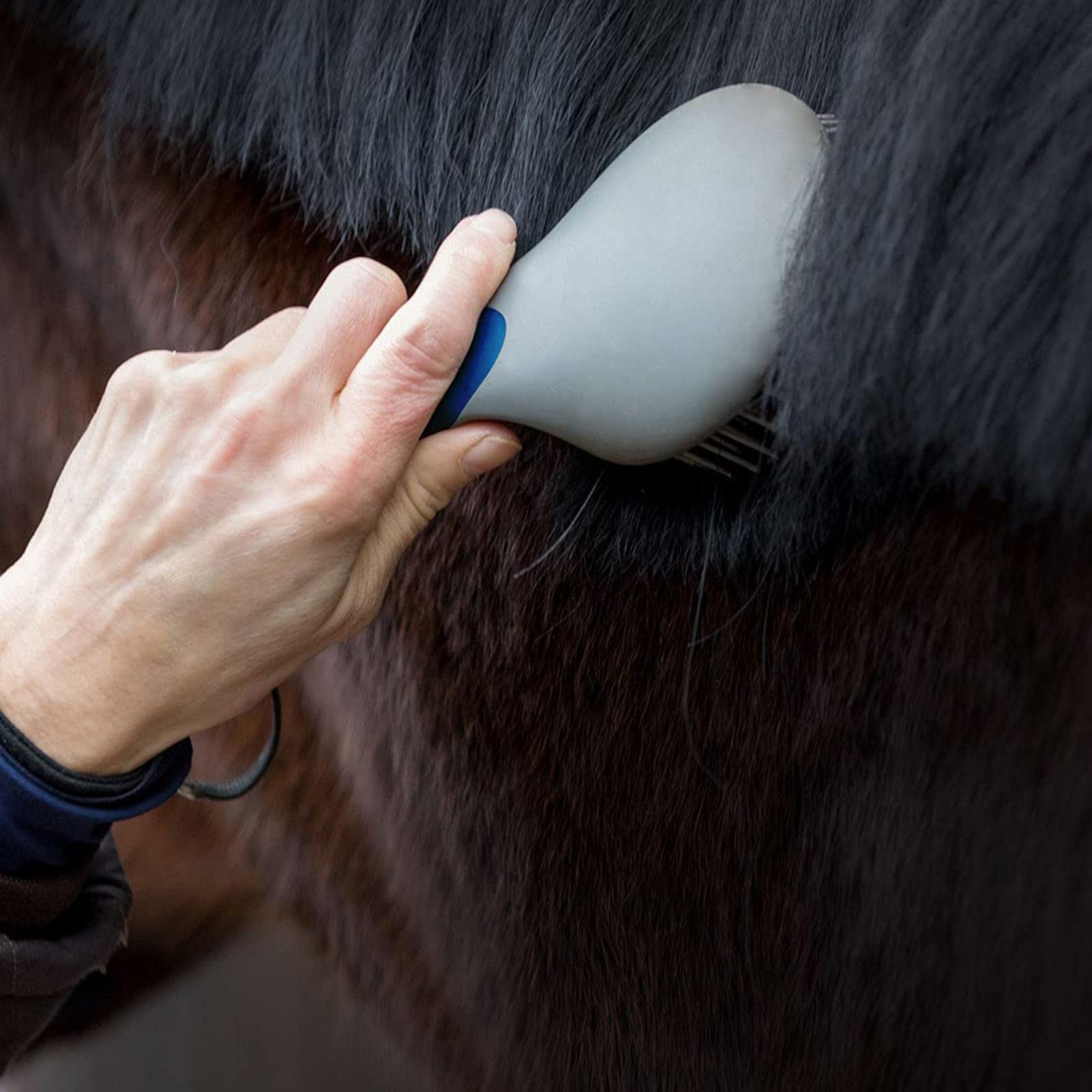 Cepillos para Caballos para el - Grooming Kit Horse reseña y precio