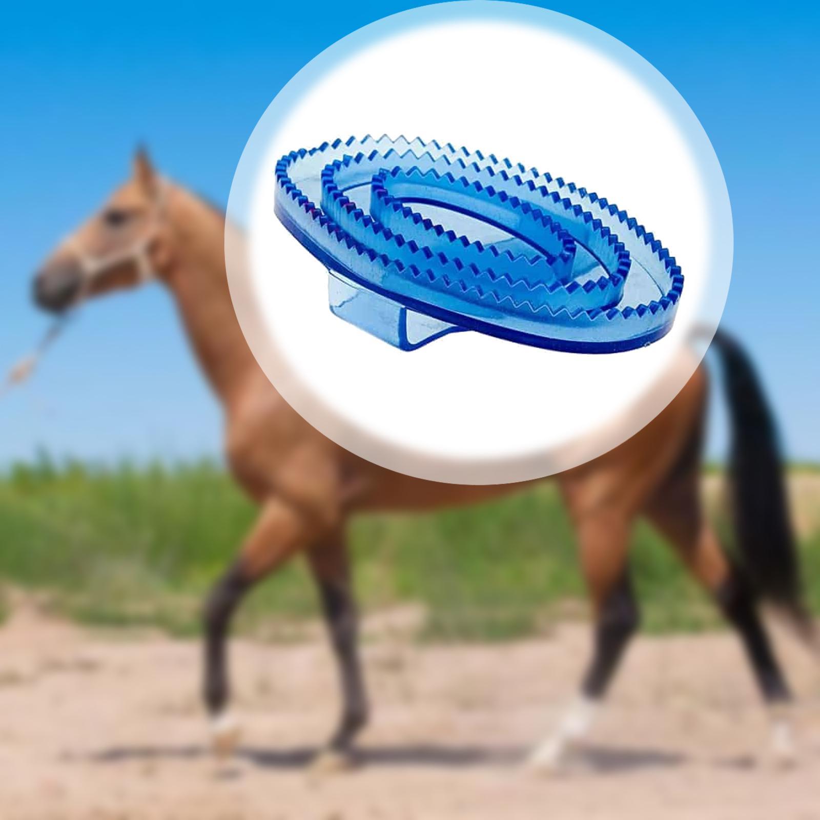 Cepillo de Masaje y Cepillado  - Grooming Kit Horse reseña y precio