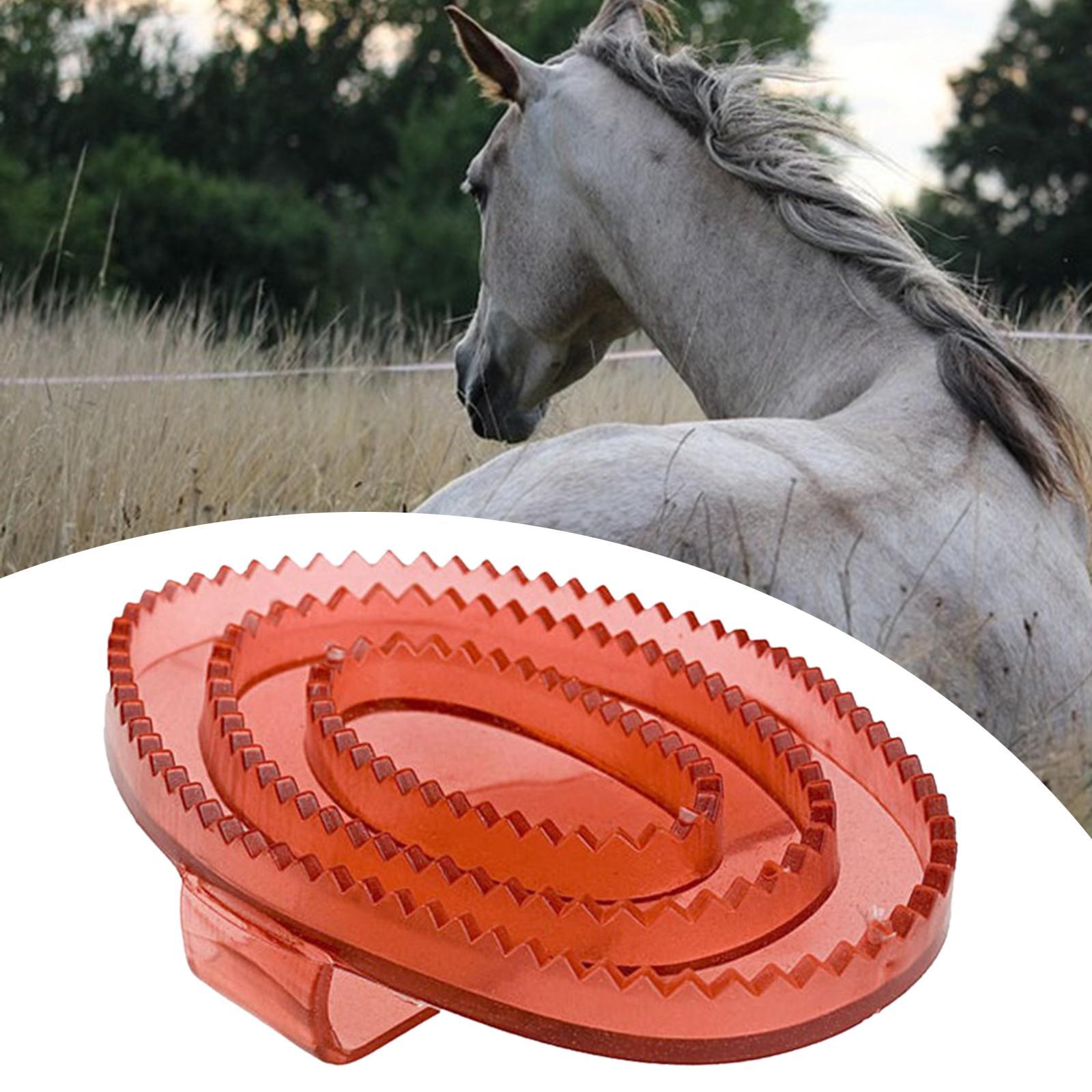 Cepillo de Masaje y Cepillado  - Grooming Kit Horse reseña y precio
