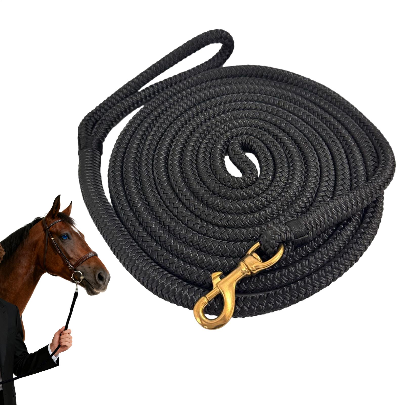 Línea de lunging para caballos - Lunge Line Horse reseña y precio