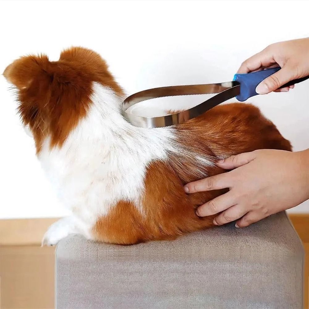 1 Peine de Aseo para Caballos  - Grooming Kit Horse reseña y precio